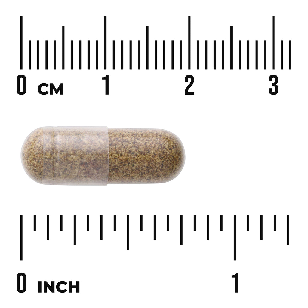 SWH140 | Capsule with cm and inch ruler for size reference - Thumbnail