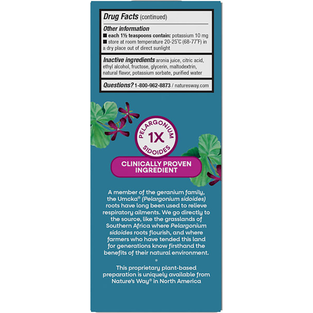 NW584 | Back label showing Drug Facts, inactive ingredients, and product name Cold Relief Syrup