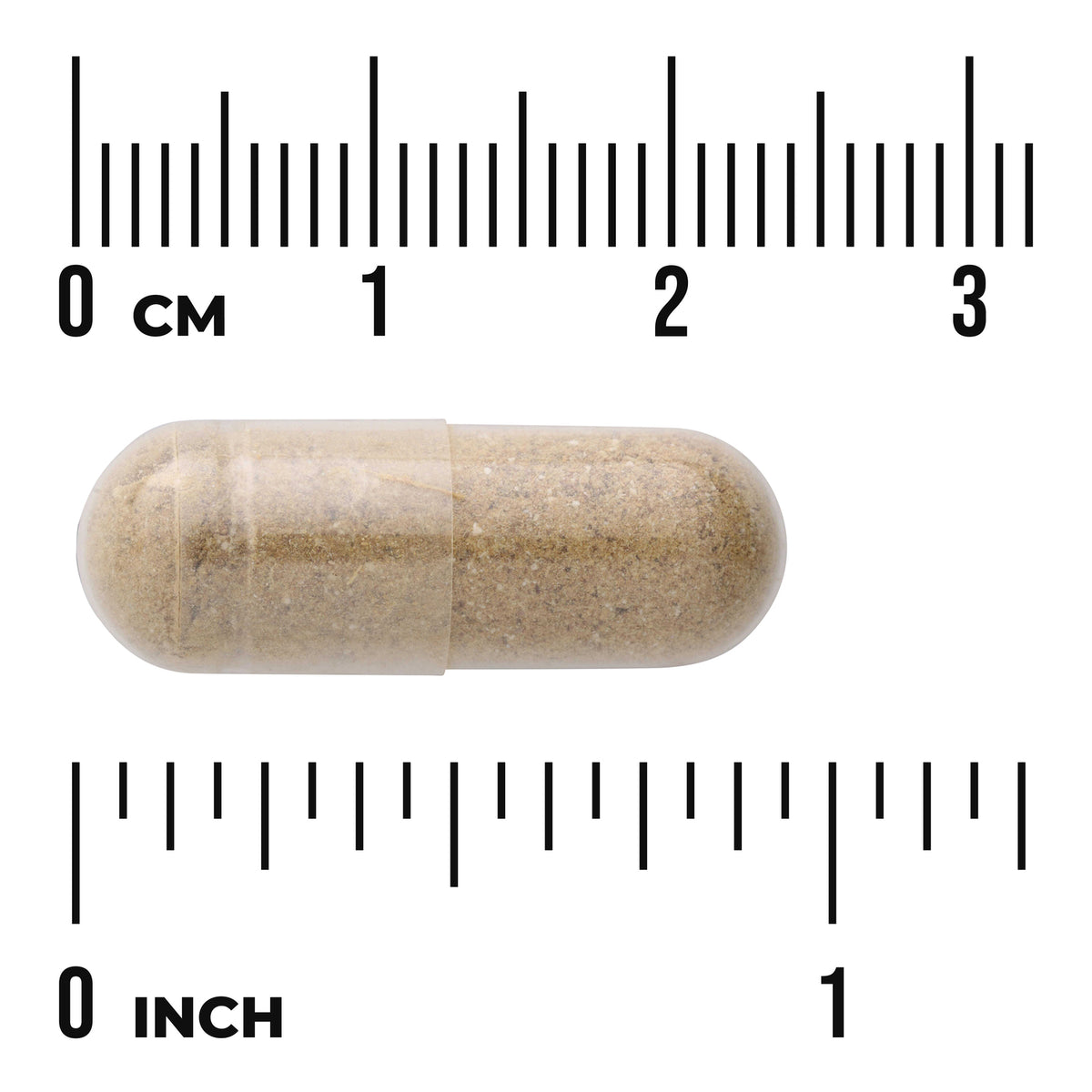 SW477 | Capsule shown with cm and inch rulers for size reference