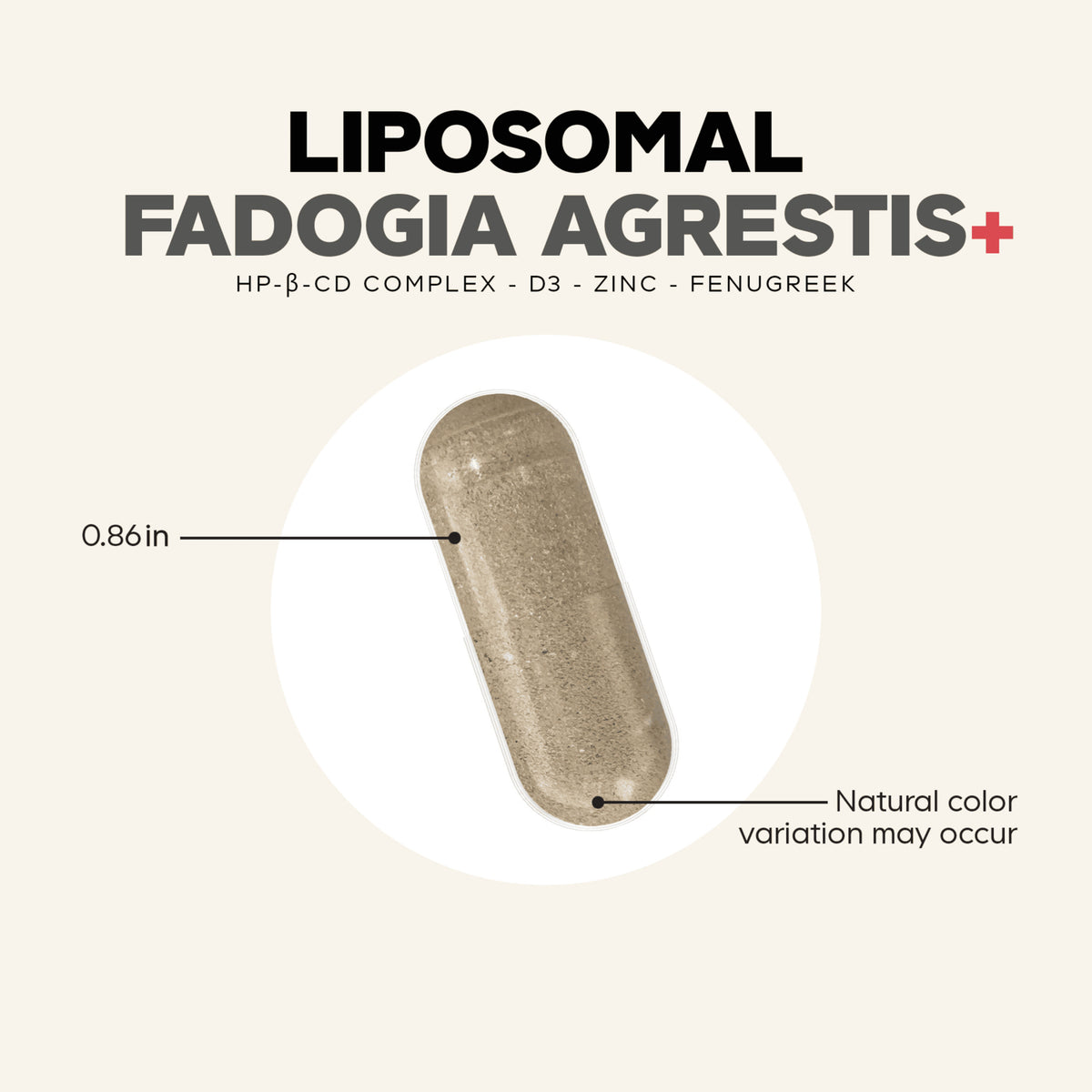 CDG057 | Liposomal fadogia agrestis capsule infographic with size and color variation notes
