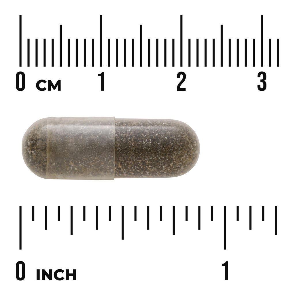 SW1346 | clear capsule filled with brown powder shown against centimeter and inch rulers for scale - Thumbnail
