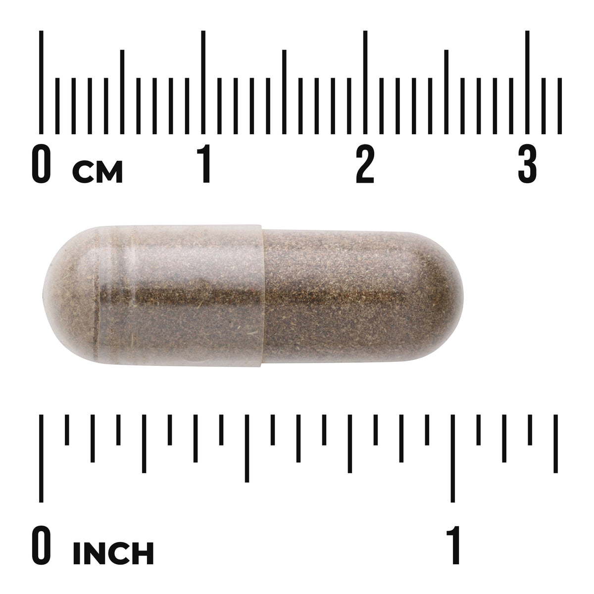 SW422 | Brown capsule with size scale: 0â€“3 cm and 0â€“1 inch