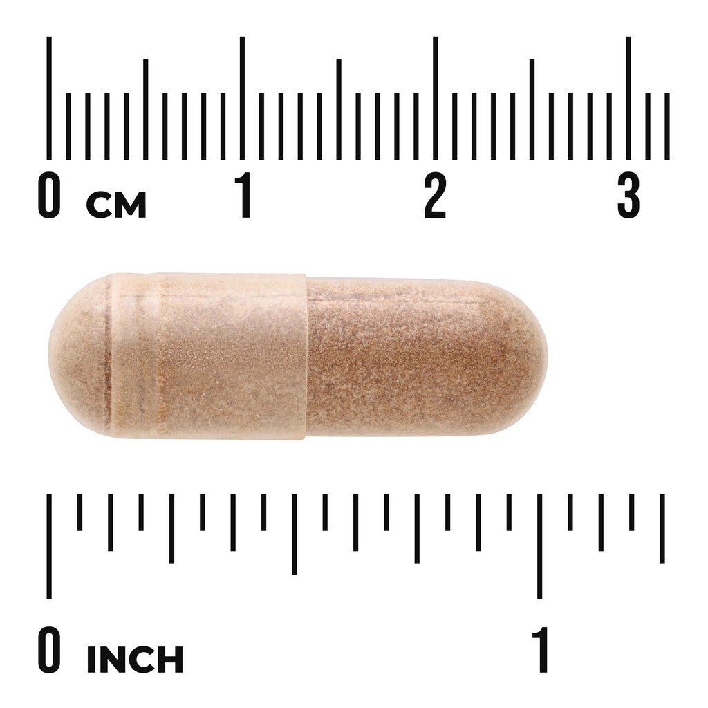 SWH207 | Beige capsule shown with size scale in cm and inches - Thumbnail