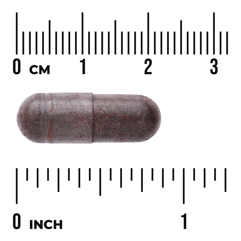 SWU915 | Brown speckled capsule between centimeter and inch rulers showing size; visible text "0 CM" and "0 INCH" - Thumbnail