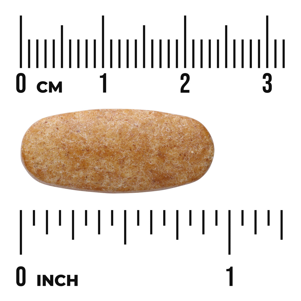 SWD008 | Brown oblong tablet shown against inch and centimeter rulers for size reference - Thumbnail