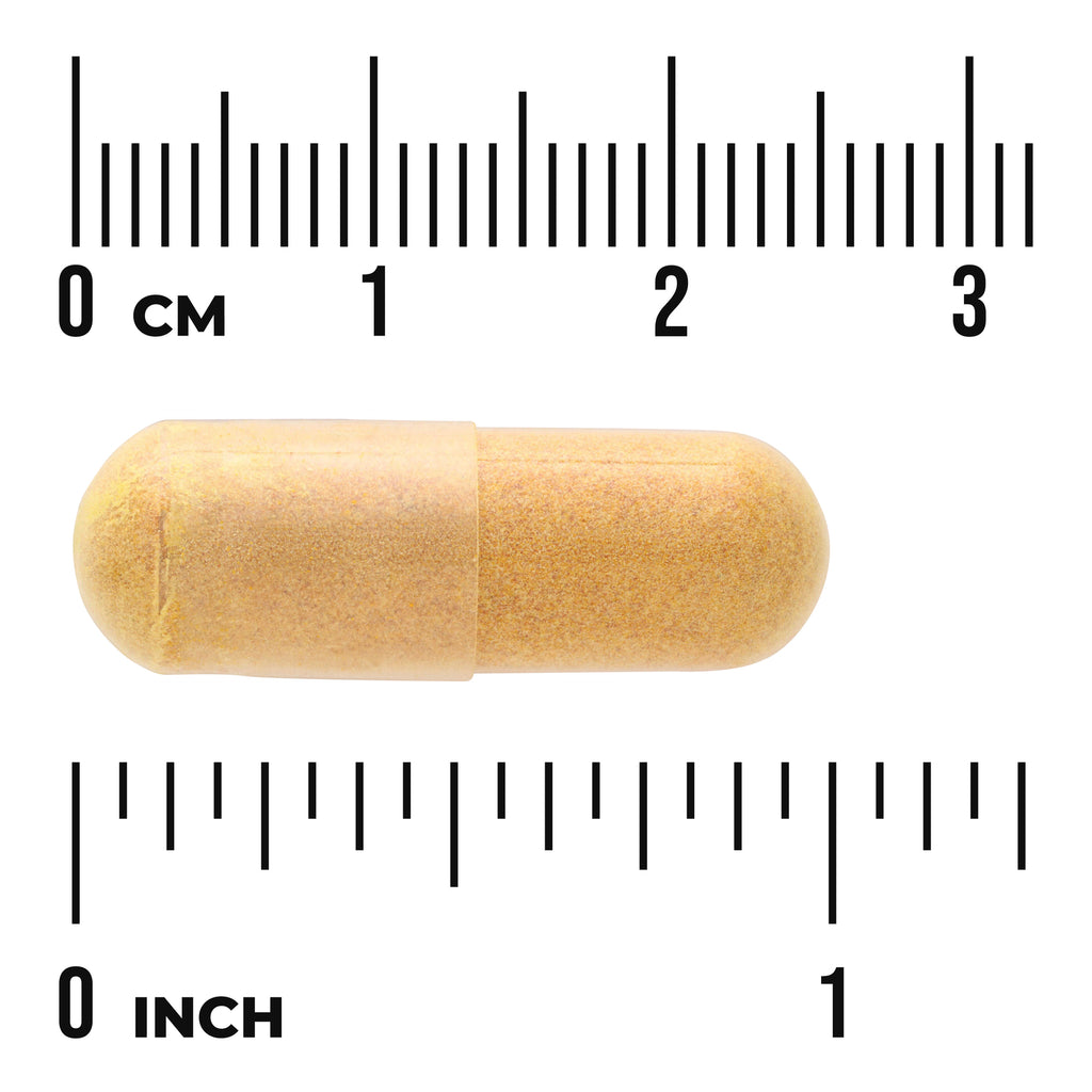 SW1592 | Yellow capsule shown with cm and inch rulers for size reference - Thumbnail