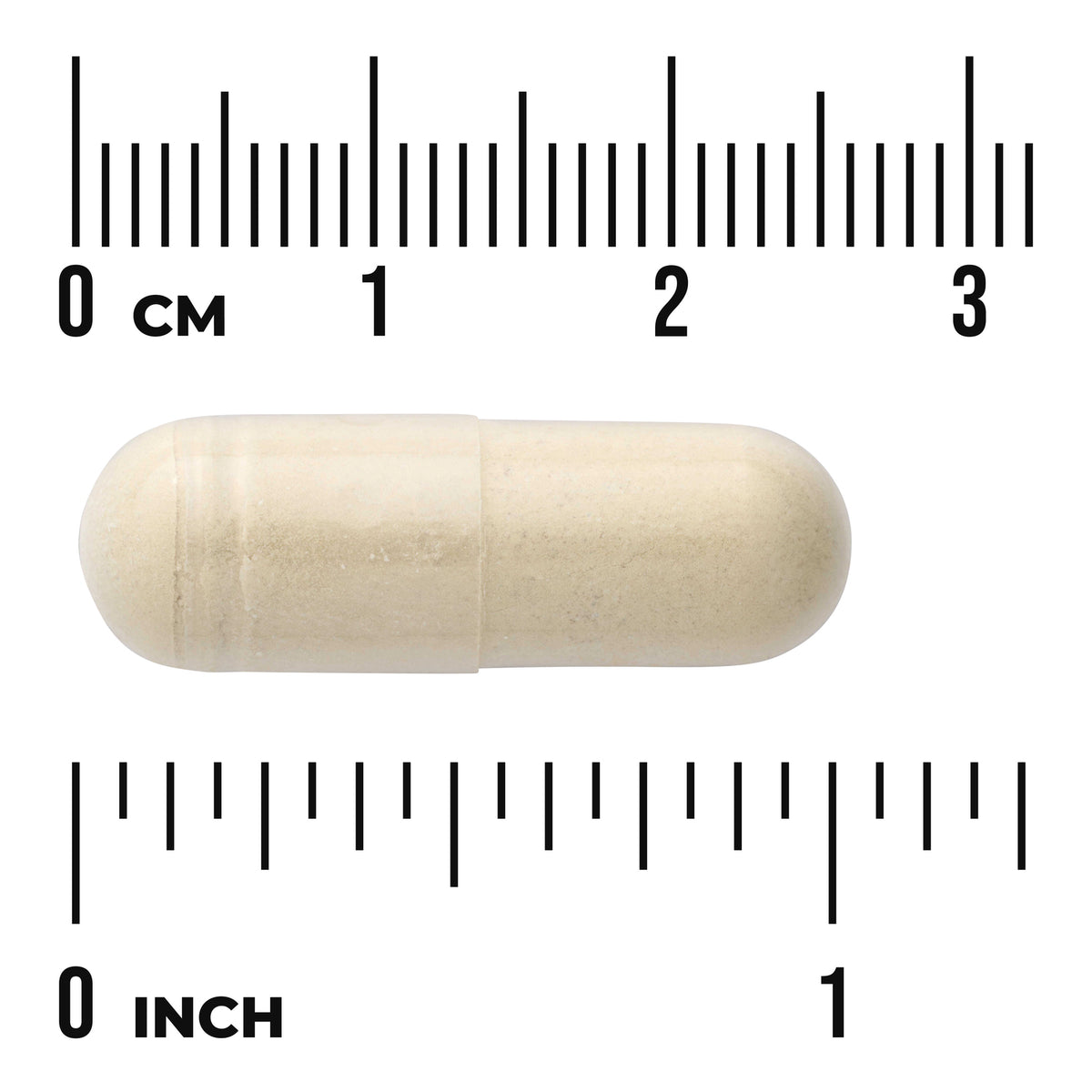 SWU720 | Beige capsule shown against cm and inch rulers