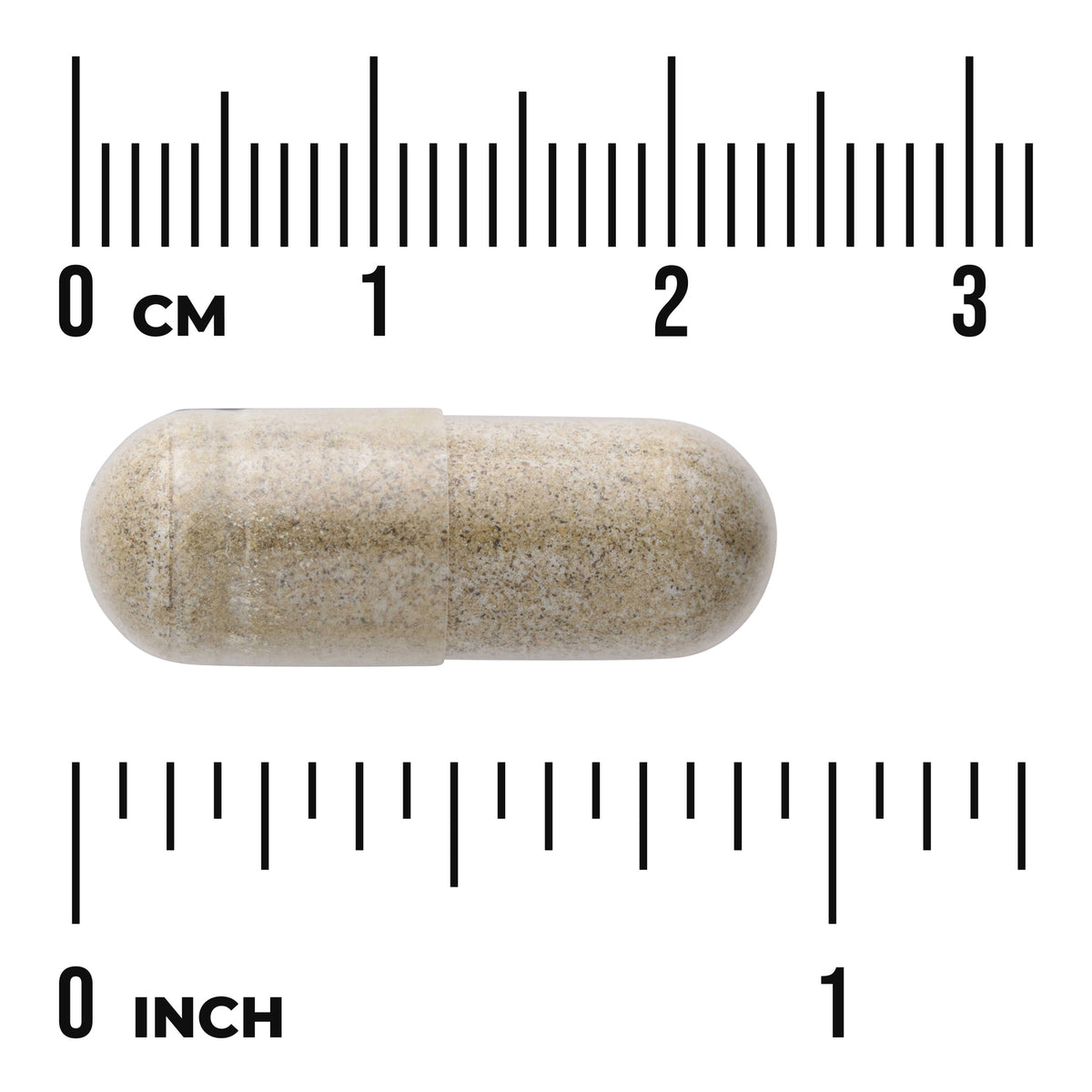 SWU244 | Beige capsule shown with cm and inch rulers