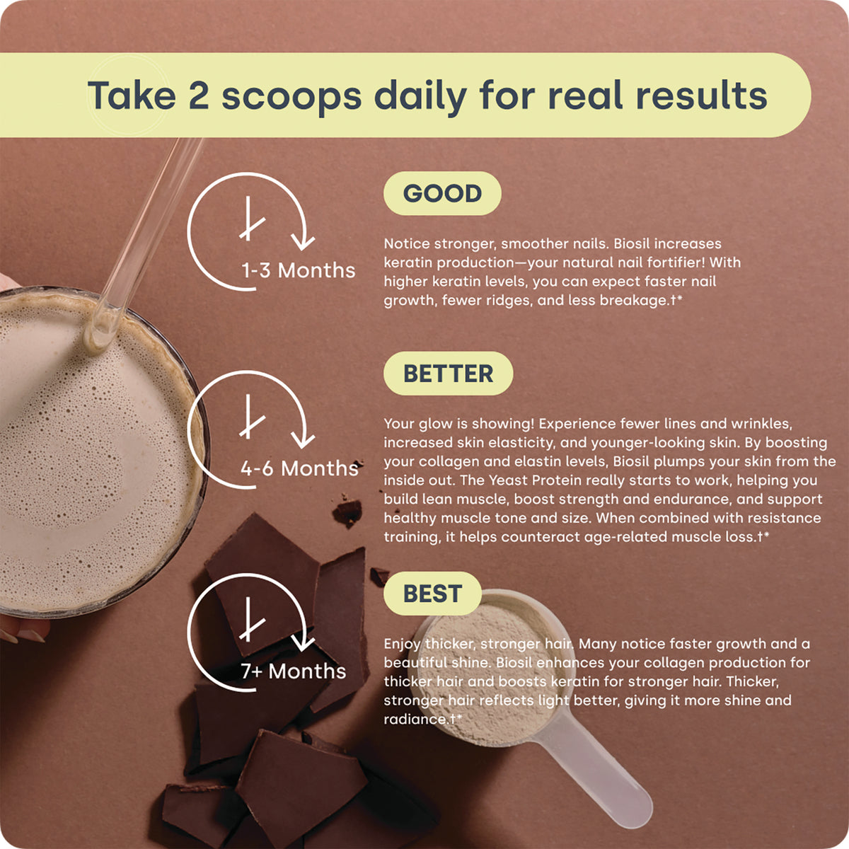 NFC221 | Infographic showing recommended daily scoops and results timeline for Biosil with chocolate and powder visuals