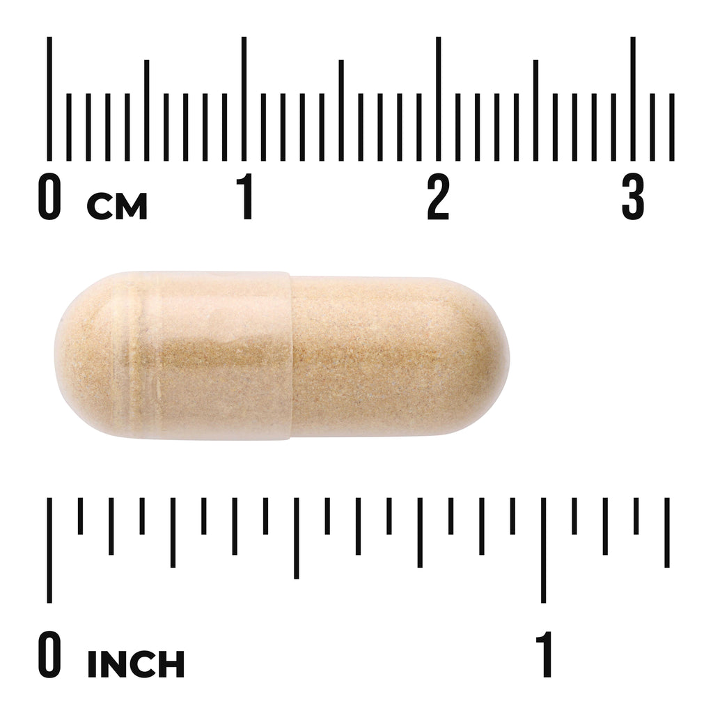 SWU1075 | Beige capsule shown with centimeter and inch rulers for size reference - Thumbnail