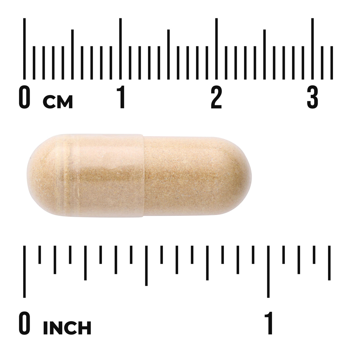SWU1075 | Beige capsule shown with centimeter and inch rulers for size reference