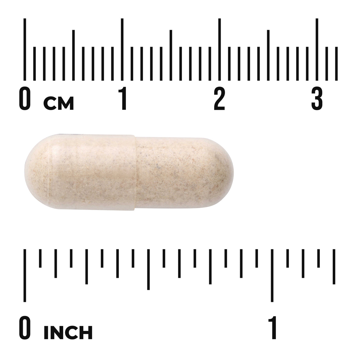 SW1524 | Beige capsule shown with cm and inch rulers for size reference
