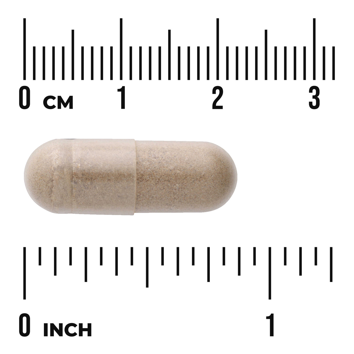 SWU761 | Capsule shown with centimeter and inch rulers for size reference