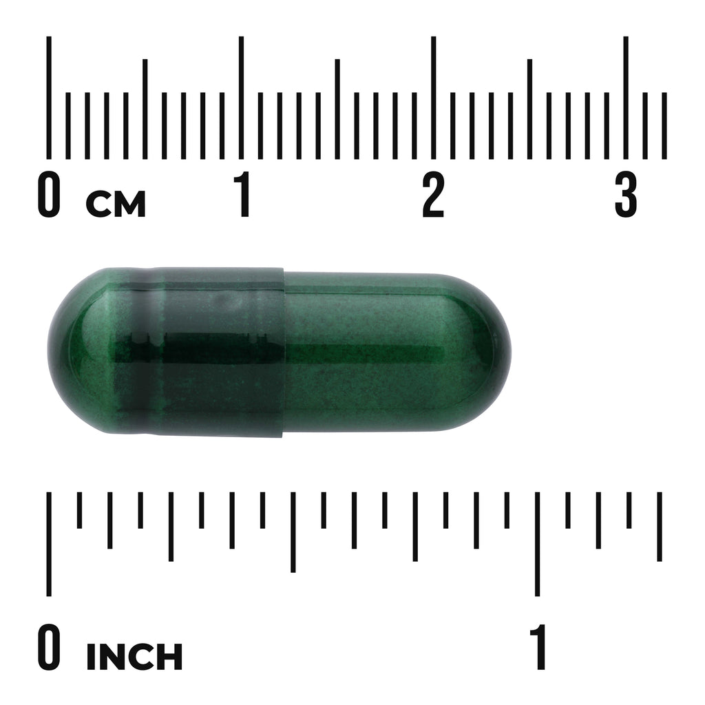 SWC091 | Green capsule shown to scale with centimeter and inch rulers - Thumbnail