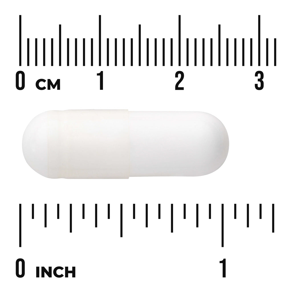 SW039 | White gelatin capsule centered between centimeter and inch rulers labeled "0 CM" and "0 INCH" - Thumbnail