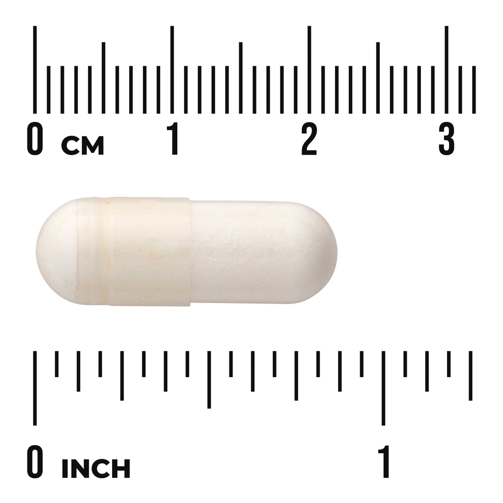SWA001 | White two-piece capsule on rulers marked in cm and inch to show size - Thumbnail