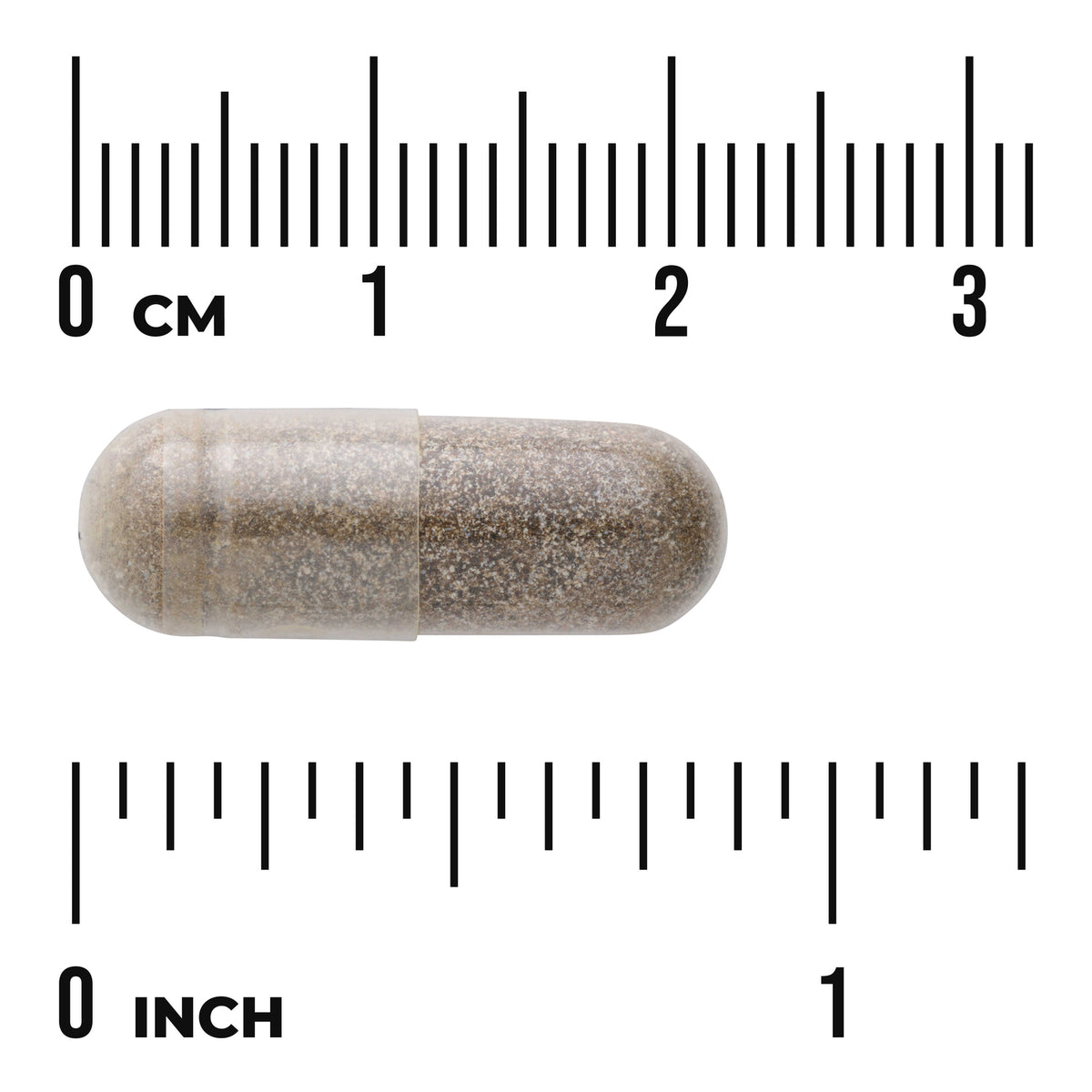 SWD045 | Brown capsule shown with CM and INCH rulers for size reference