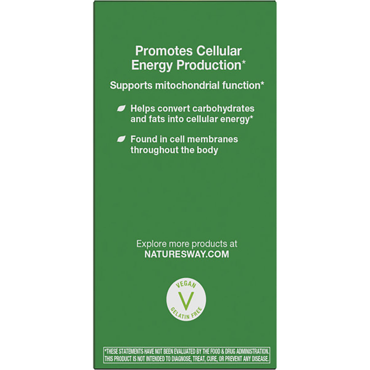 ET385 | Back panel reading SMART Q10 supports heart and brain health and notes CoQ10's energy support