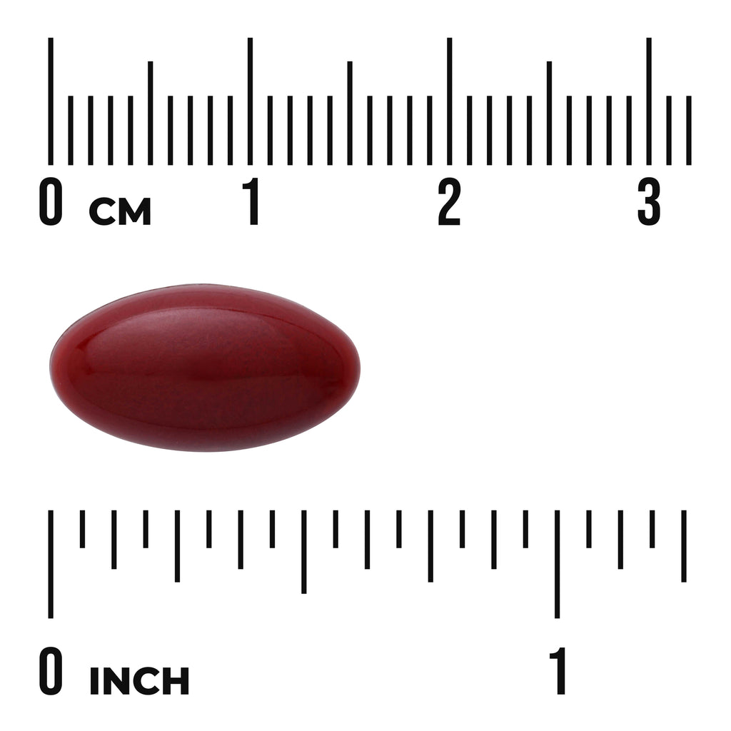 SW950 | Dark red softgel with size shown against cm and inch rulers - Thumbnail