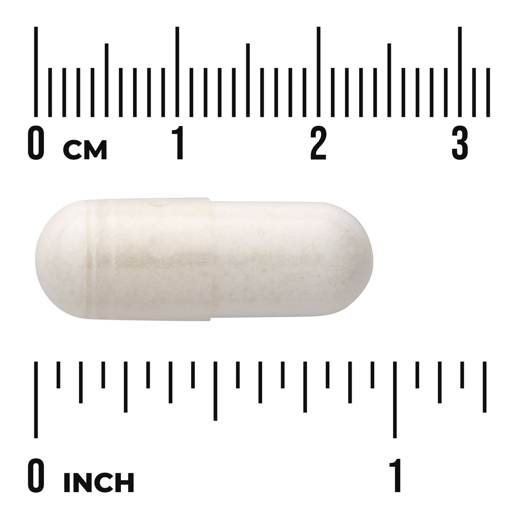 SW1159 | White capsule with centimeter and inch ruler for size - Thumbnail