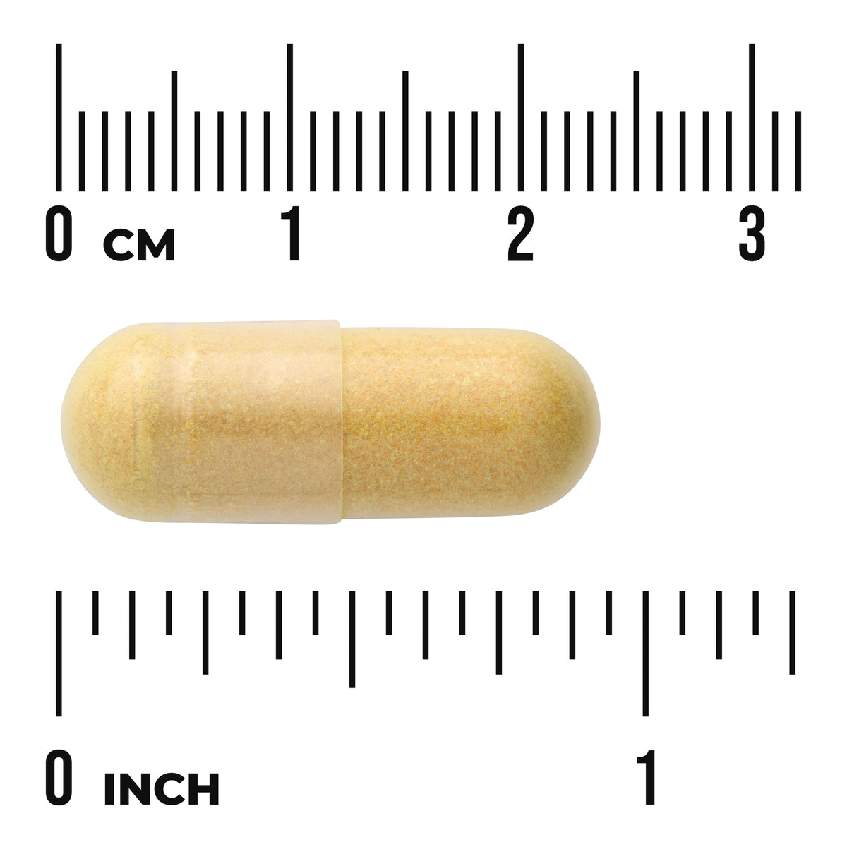 SWU849 | Capsule form with size shown against cm and inch rulers
