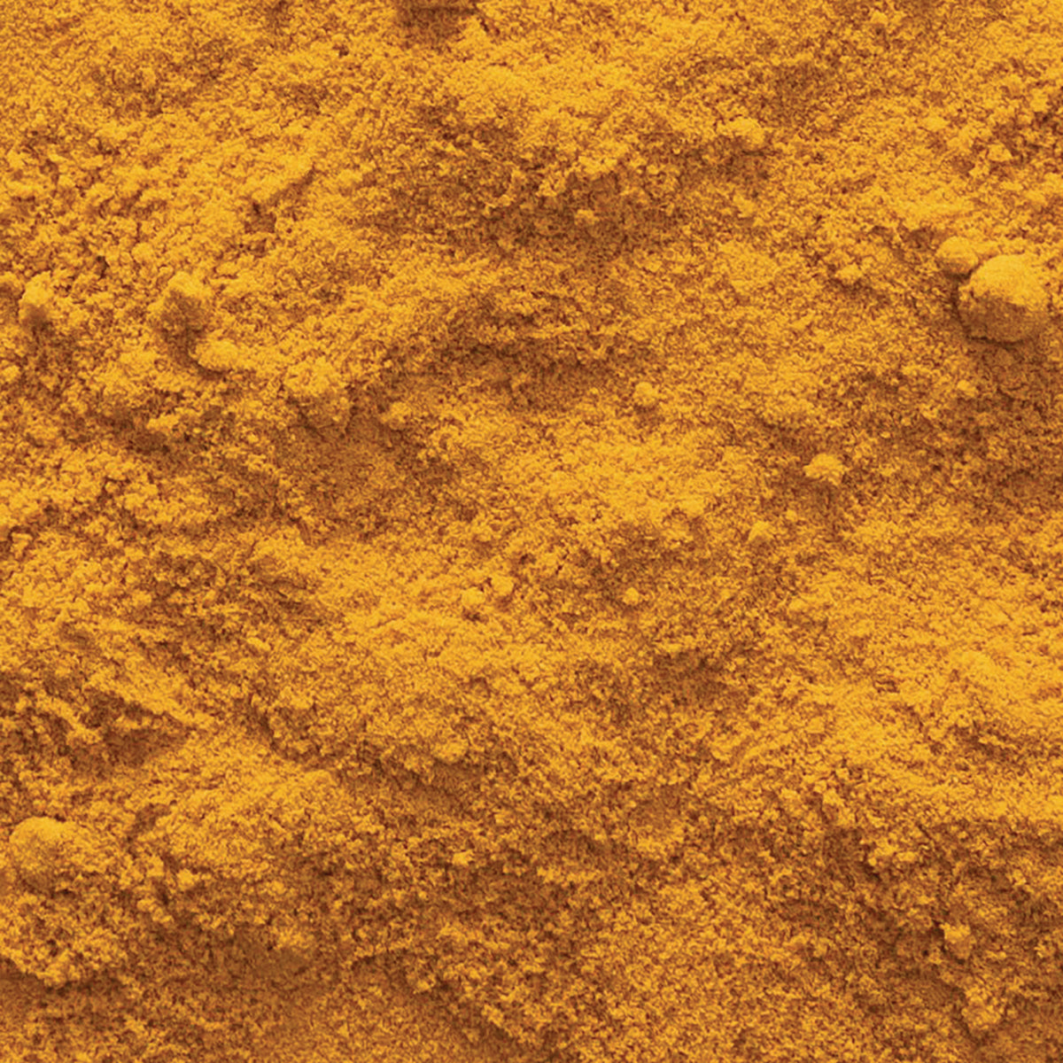 FNP361 | close-up of fine golden-yellow spice powder texture
