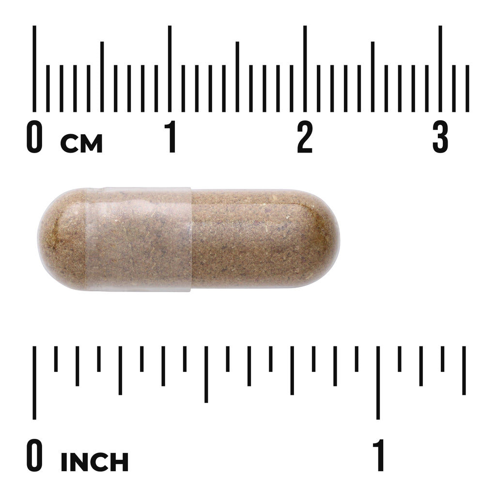 SW1753 | Clear capsule filled with brown powder centered between rulers labeled 0 CM and 0 INCH - Thumbnail