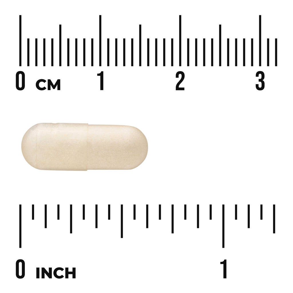 SW1510 | White capsule with size scale, 03 cm and 01 inch marked, labels CM and INCH - Thumbnail
