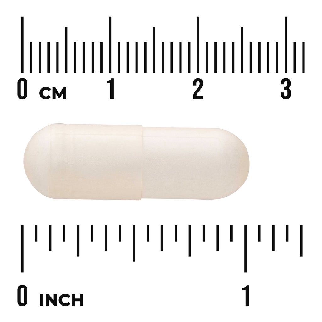 SWU803 | White capsule shown next to cm and inch ruler for size reference - Thumbnail