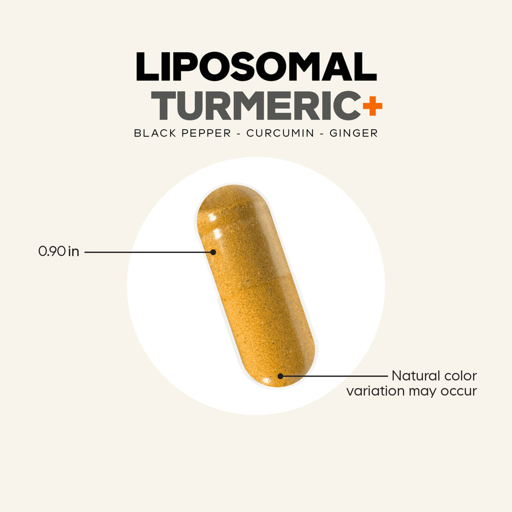 CDG014 | Liposomal turmeric capsule with black pepper, curcumin, and ginger; natural color variation may occur - Thumbnail