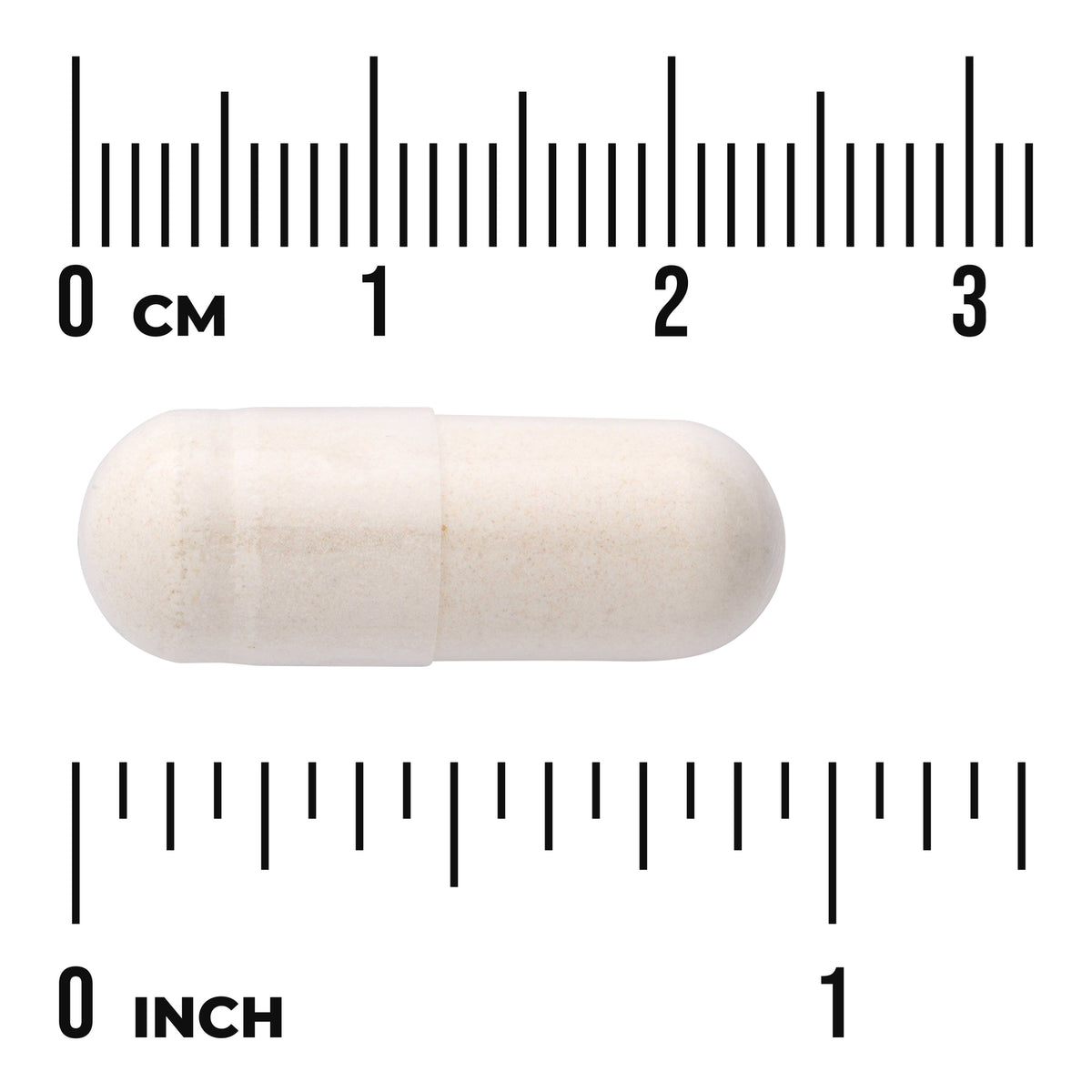 SWG24 | White capsule displayed on centimeter and inch rulers to show size