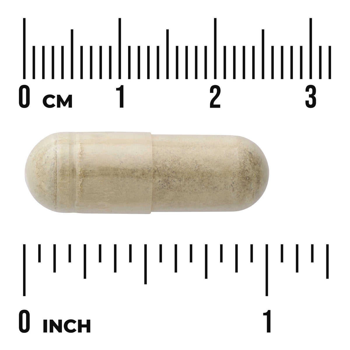 SWH139 | Beige capsule shown next to cm and inch rulers