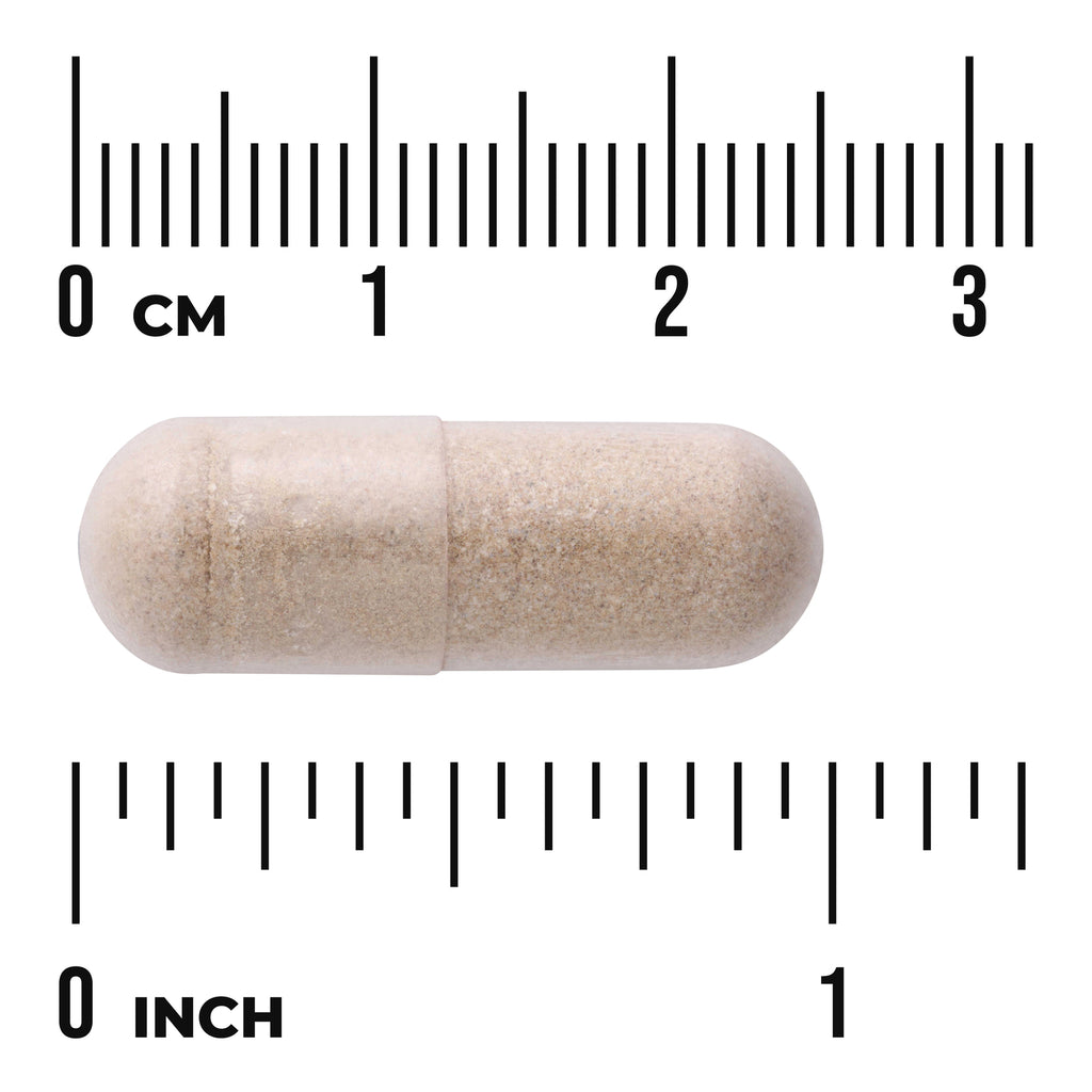 SWC093 | Beige capsule shown with cm and inch rulers for size reference - Thumbnail