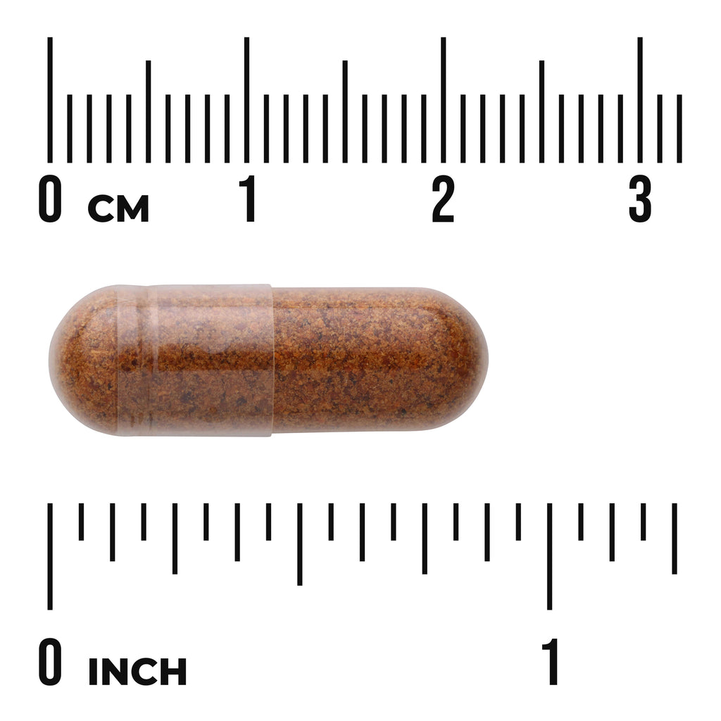 SW1739 | Brown capsule shown with size scale, 03 cm and 01 inch markers - Thumbnail