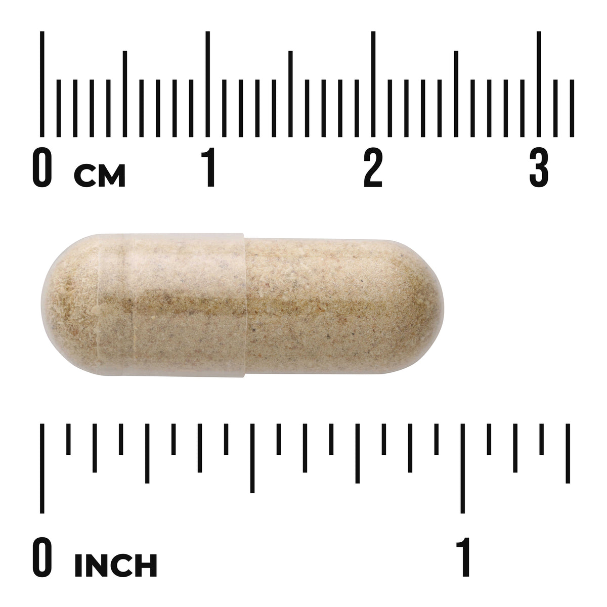 SW543 | Clear capsule with beige powder shown with metric and inch rulers for size