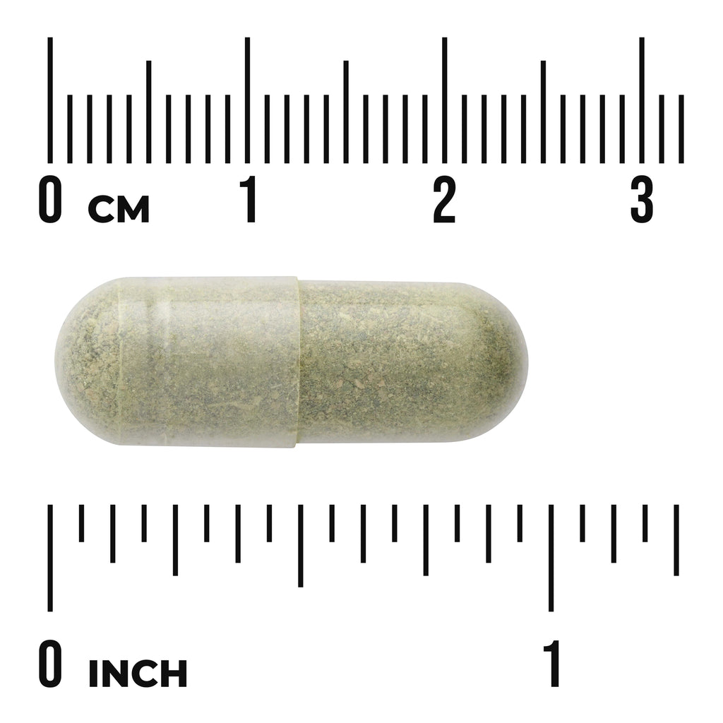SW1035 | Green capsule shown with size scale in centimeters and inches - Thumbnail