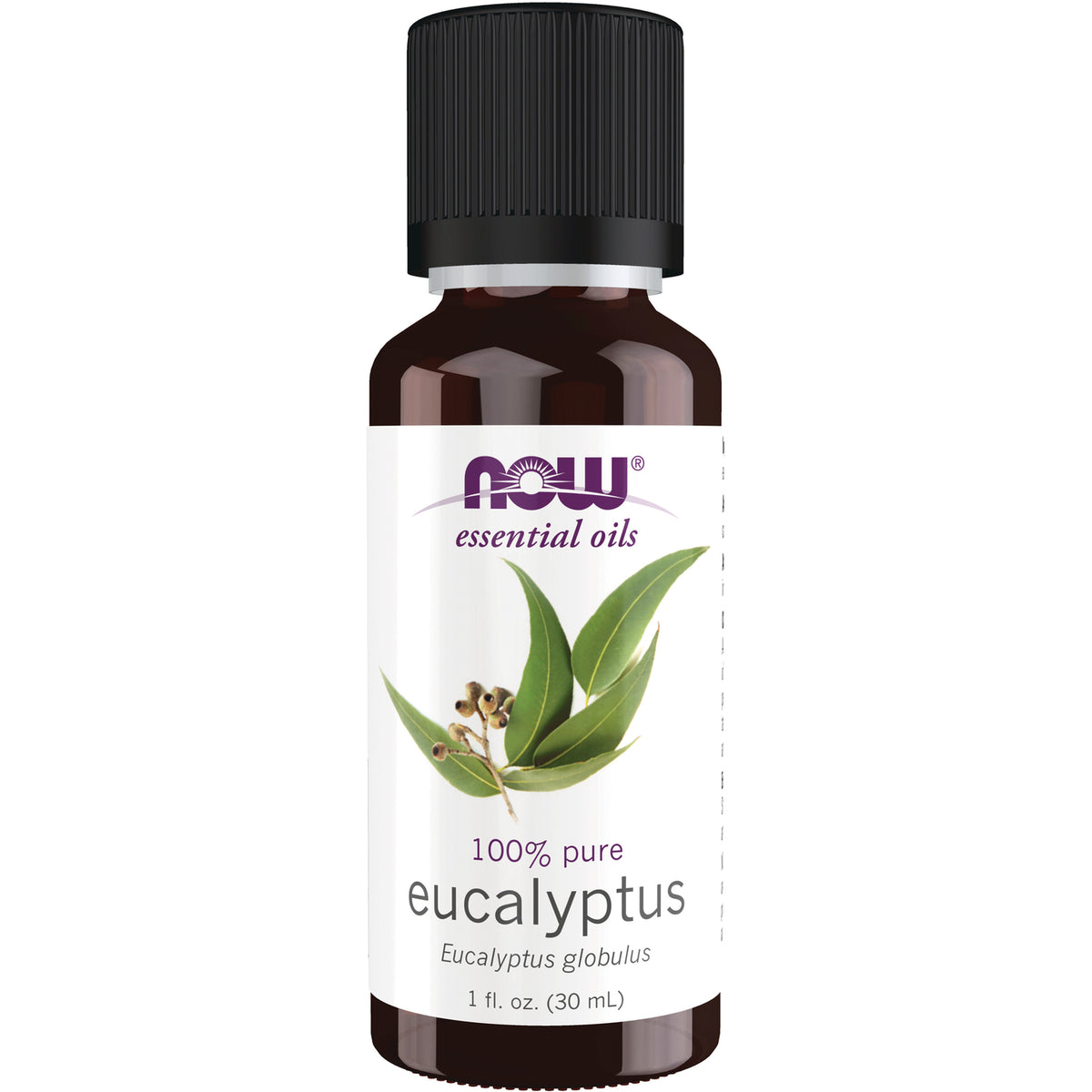 NWF045 | NOW essential oils eucalyptus 100% pure 1 fl oz (30 mL) brown glass bottle with black cap