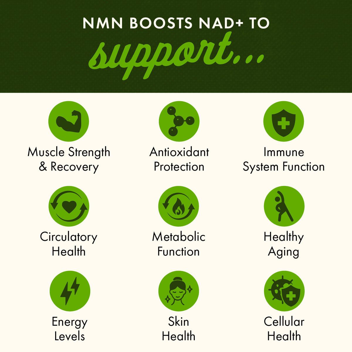 SW1819 | NMN boosts NAD+ to support muscle strength, immune function, energy, skin and cellular health