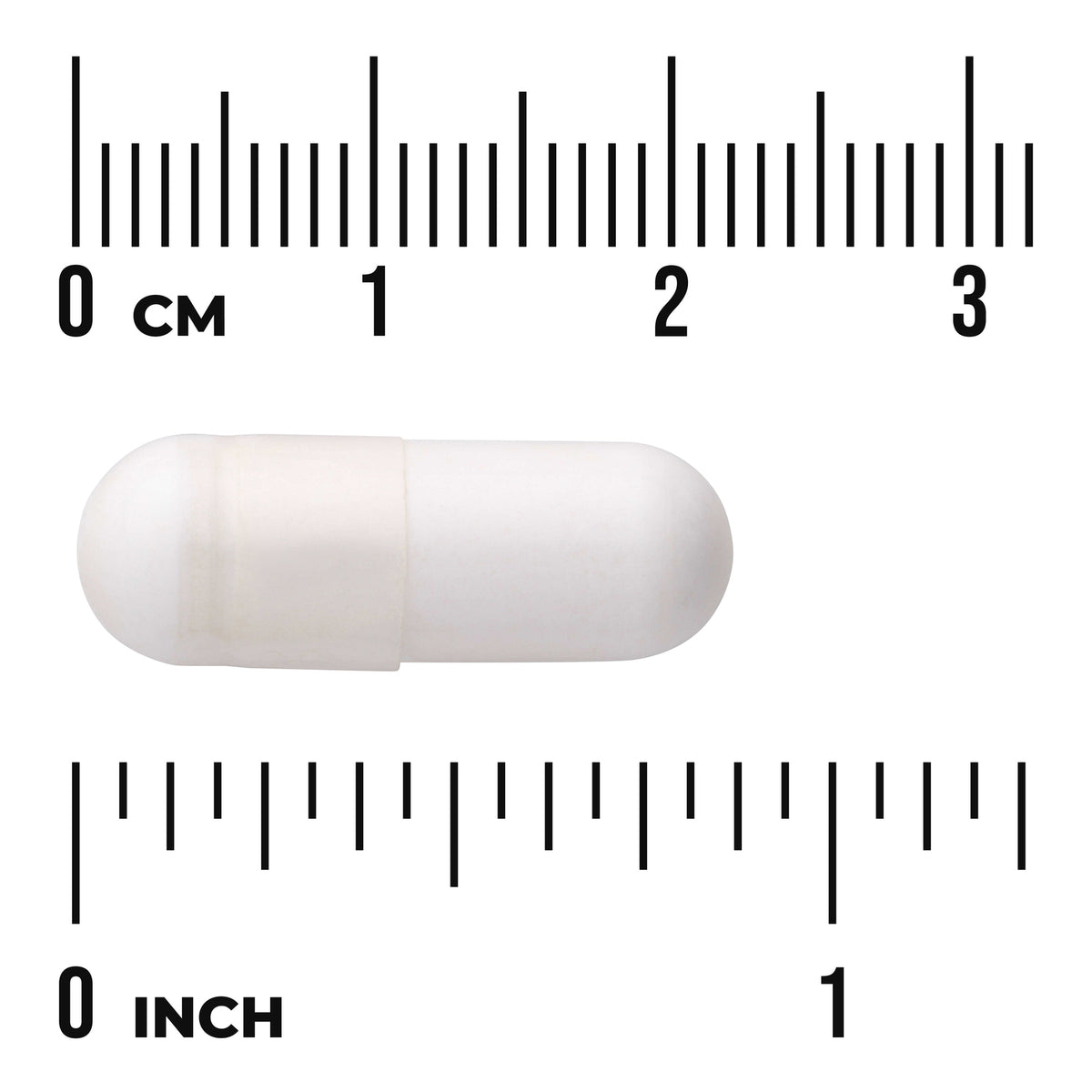 SW1608 | White capsule shown next to cm and inch rulers for size reference