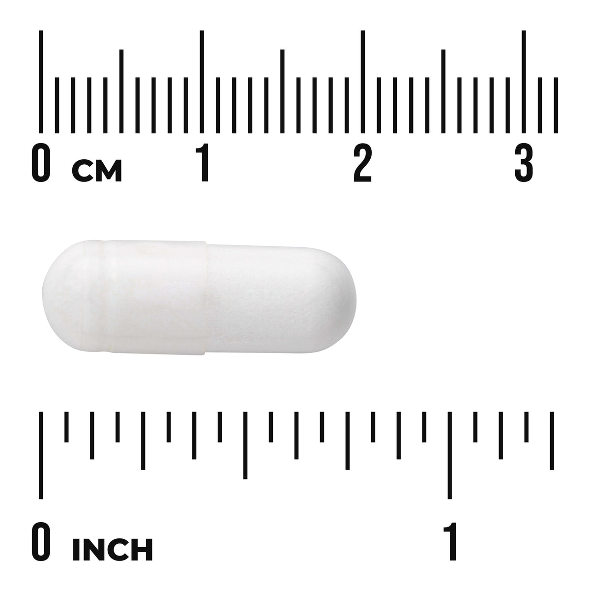 SW1234 | White capsule shown with centimeter and inch rulers for size reference