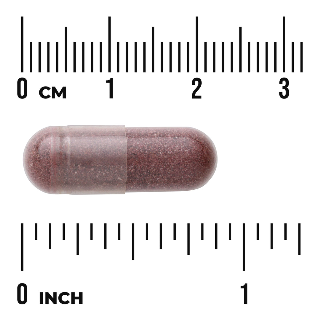 SW1406 | Capsule size reference with cm and inch rulers - Thumbnail