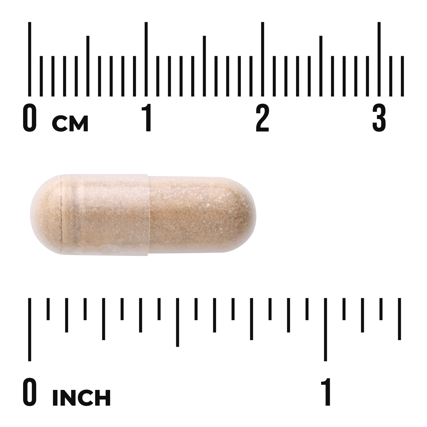 SW1302 | Transparent capsule filled with beige powder shown next to rulers labeled 0 cm and 0 inch to indicate size