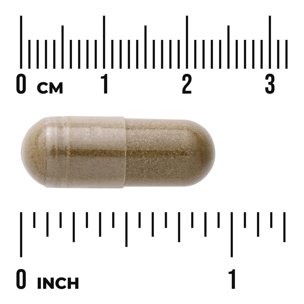 SW986 | Brown capsule shown next to cm and inch ruler for size reference - Thumbnail