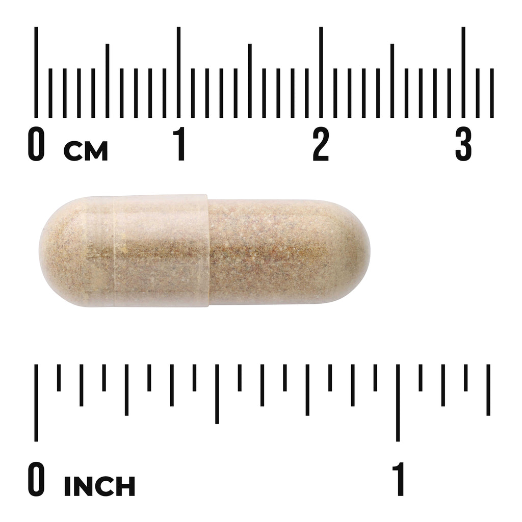 SWC111 | Beige capsule shown against cm and inch rulers for size - Thumbnail