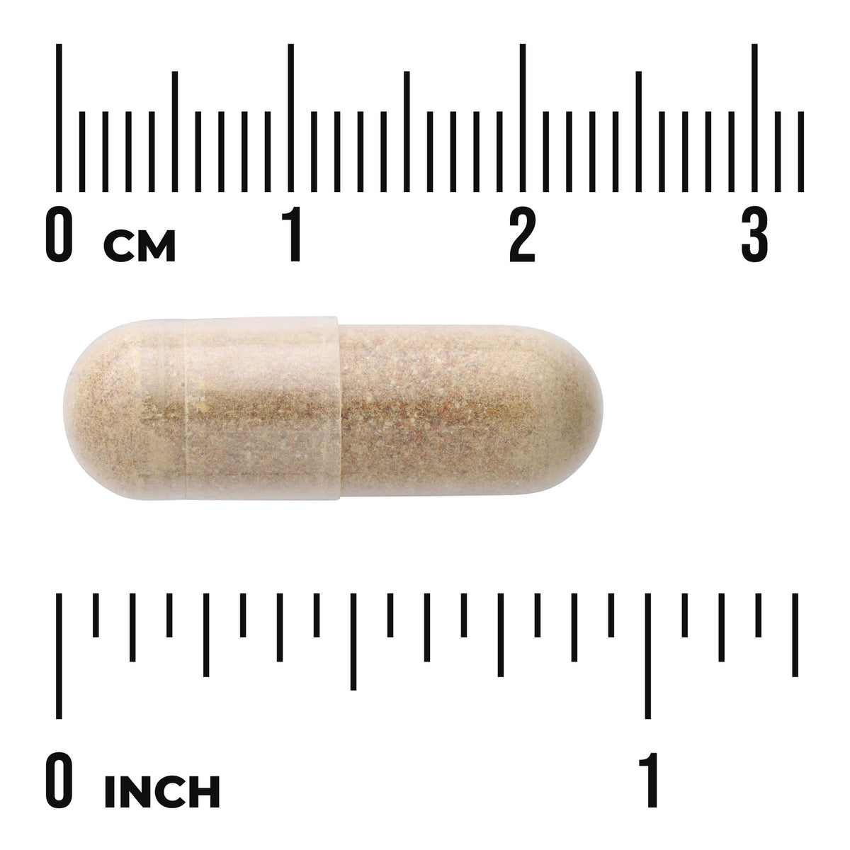 SWC111 | Beige capsule shown against cm and inch rulers for size