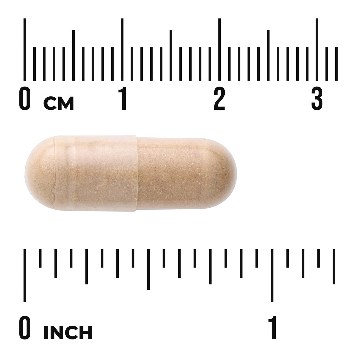 SW1225 | Capsule beside cm and inch rulers for size reference