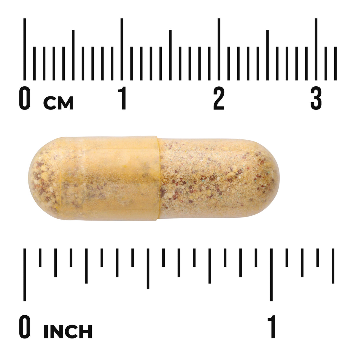 SW833 | Clear capsule with tan powder shown next to cm and inch rulers for scale