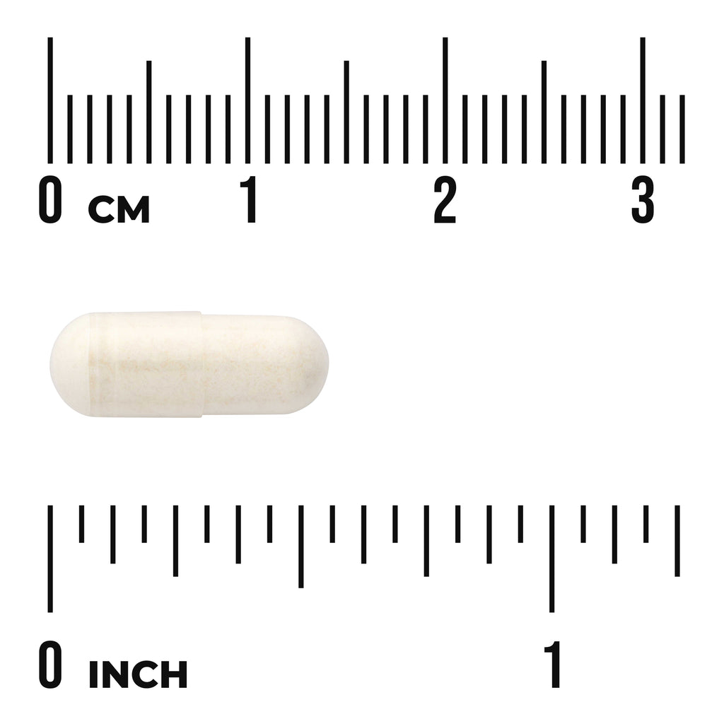 SWU1027 | Capsule size shown with centimeter and inch rulers - Thumbnail