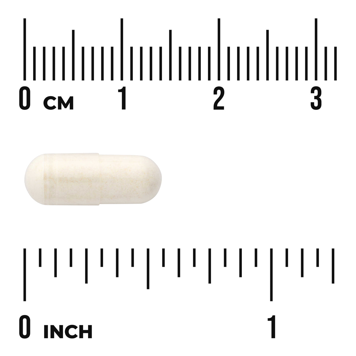 SWU1027 | Capsule size shown with centimeter and inch rulers