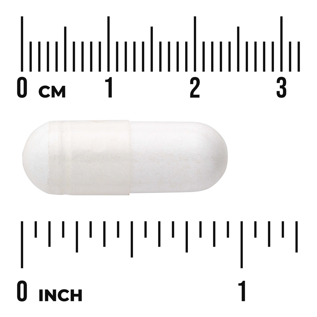SW1420 | White capsule shown beside centimeter and inch rulers for size reference - Thumbnail